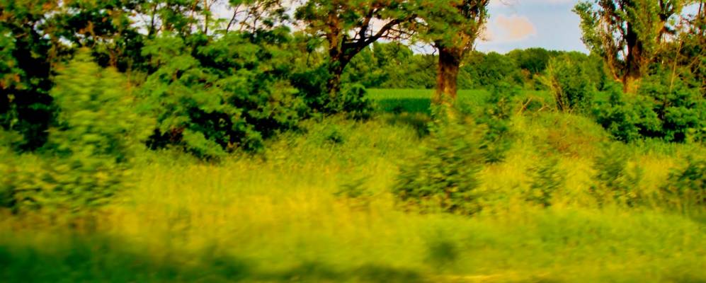 
            Фотография Побережки