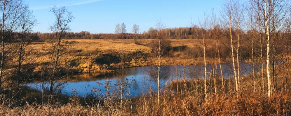 
            Фотография урочища Браклицы