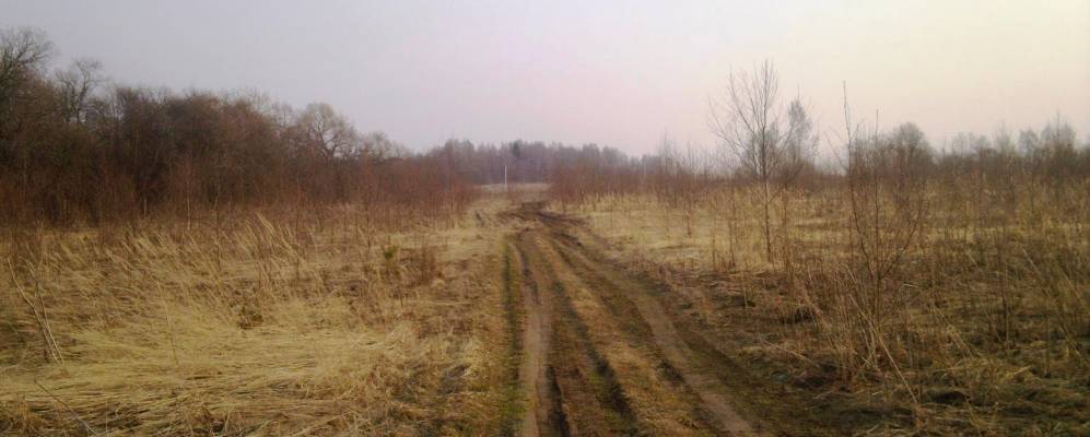 Фотография Черняков