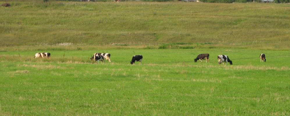 
            Фотография Чемоданово