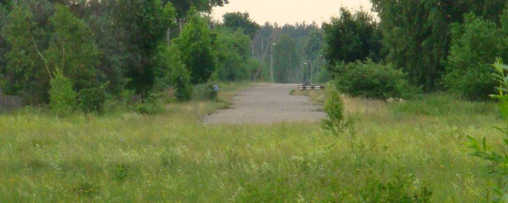 Фотография Мартыновки