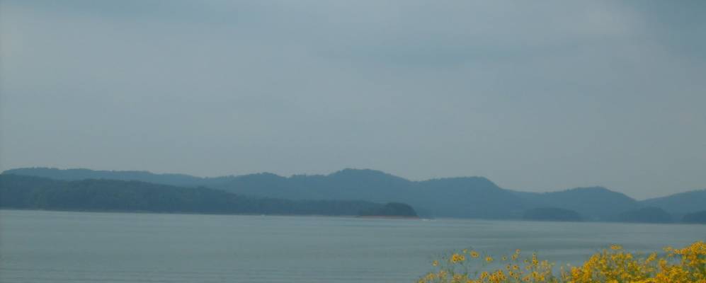 
            Фотография Бин Стейшна