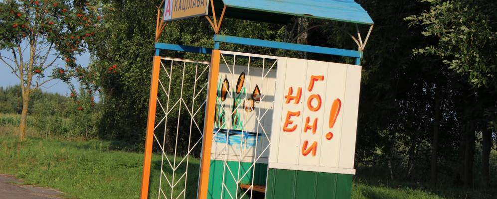 Фотография Дворного Села