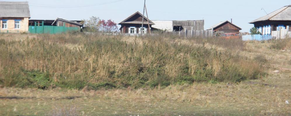 
            Фотография Унерчика