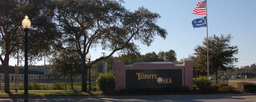 
            Фотография Тринити