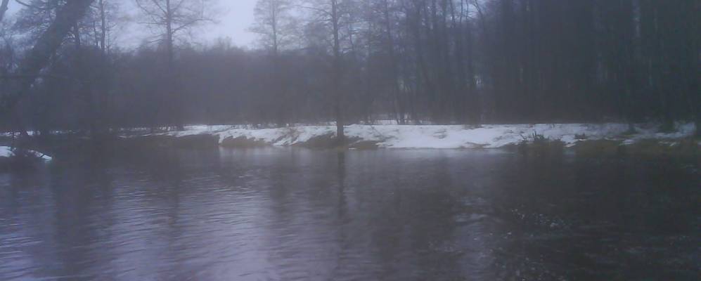 
            Фотография Ларинской