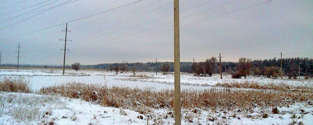 
            Фотография Раздольного