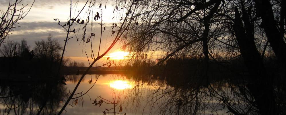 Фотография Мороговки