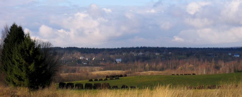 
            Фотография Корытницы