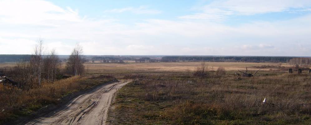 
            Фотография Сармы