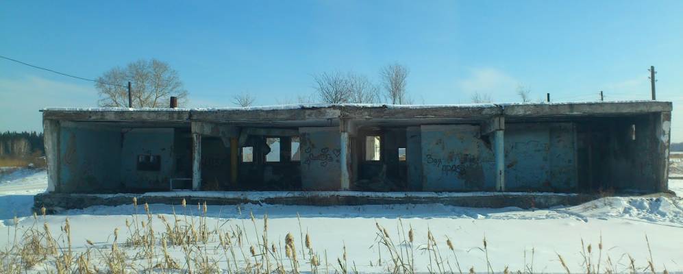 
            Фотография Пихтовки