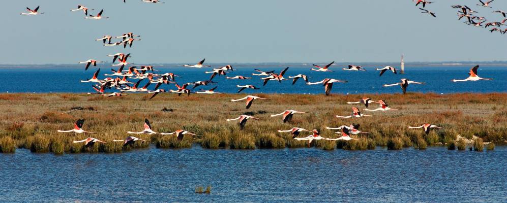 
            Фотография Сан-Жуан-да-Тальи