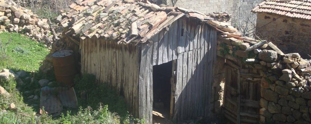 
            Фотография Шемини