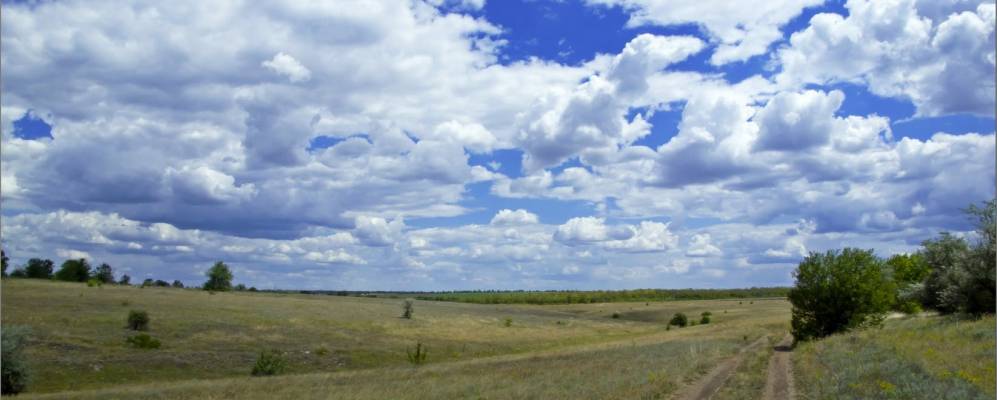 
            Фотография Новоалексеевки