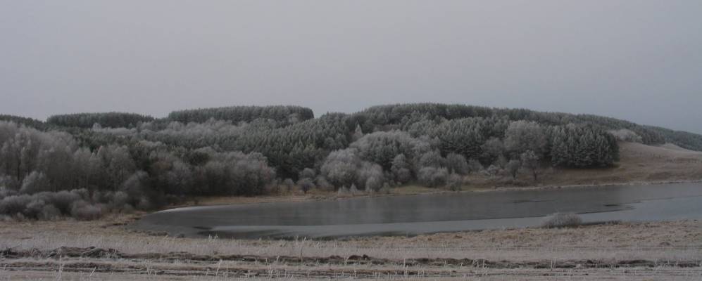 
            Фотография Нового Буяново