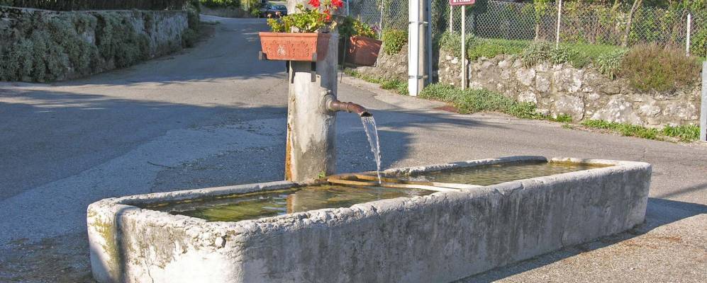 
            Фотография Перона