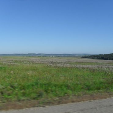 Позднякова