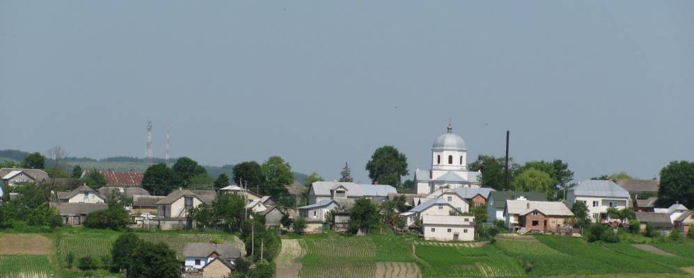 
            Фотография Потуторы