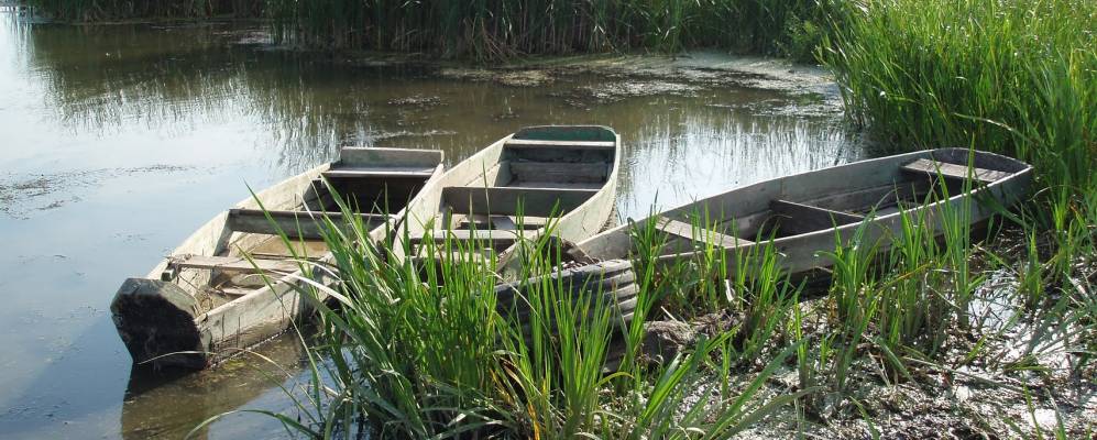 
            Фотография Орищи