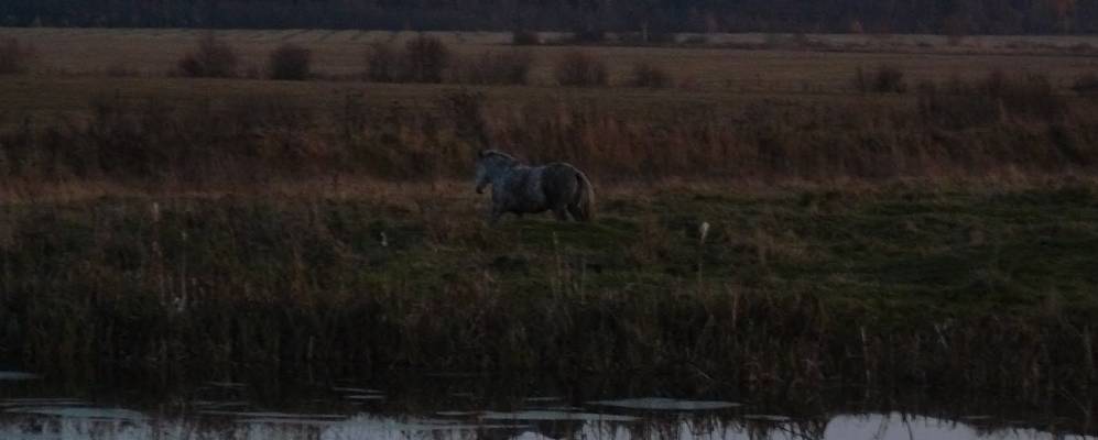 
            Фотография Маймеров