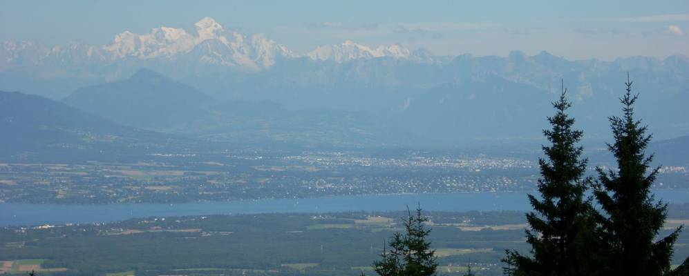 
            Фотография Жекса