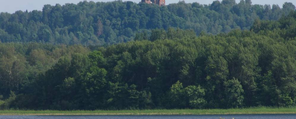 
            Фотография Городно