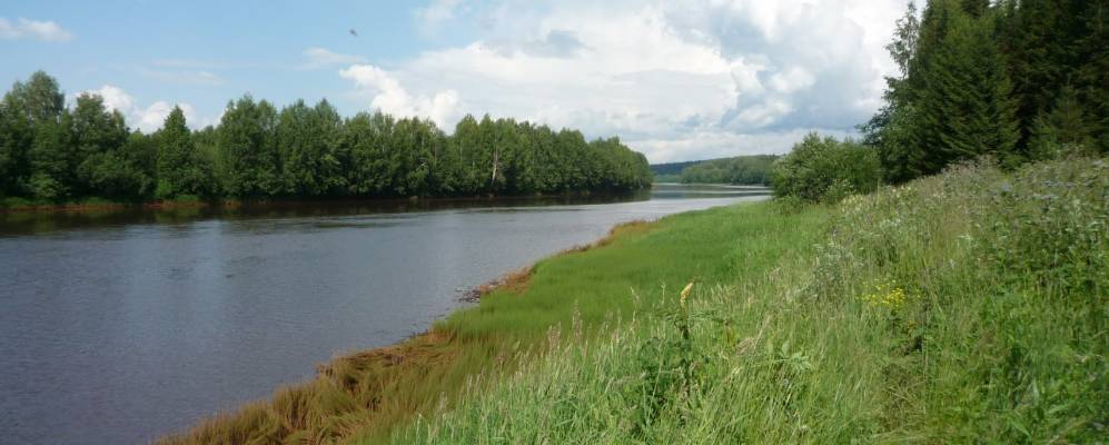 
            Фотография Тихой