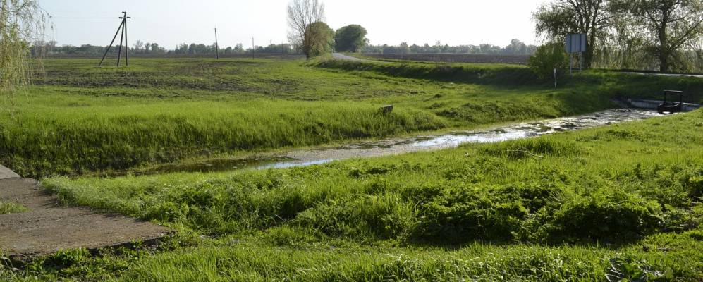 Фотография Зарудки