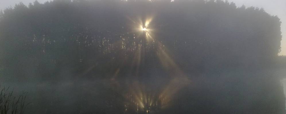 
            Фотография Плоты