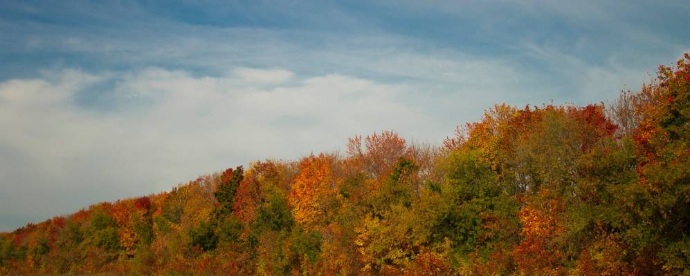 Фотография Языково