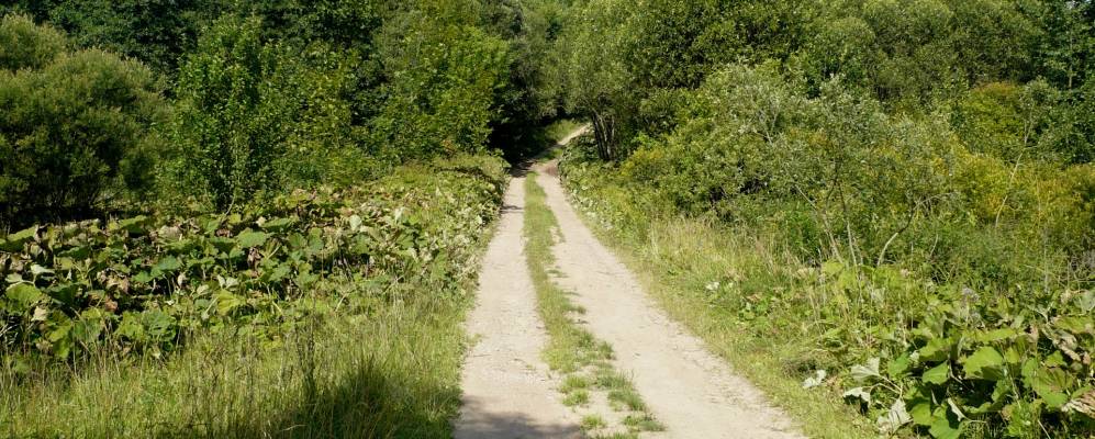 Фотография Ляховки