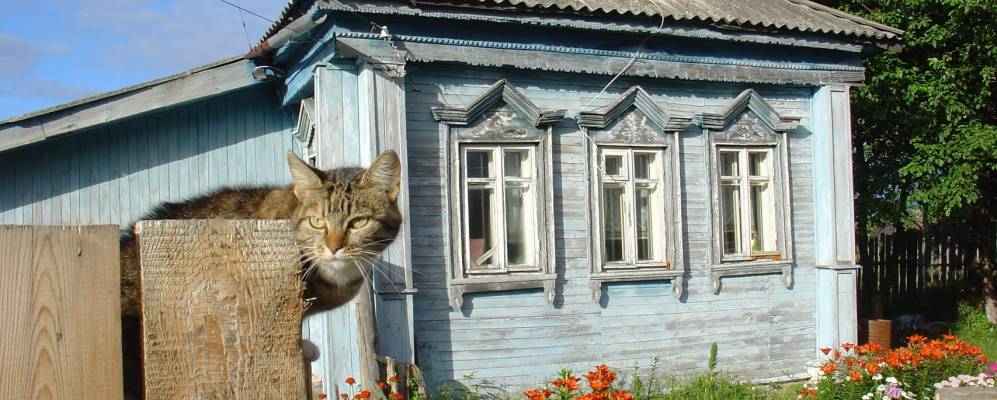 
            Фотография Ильино