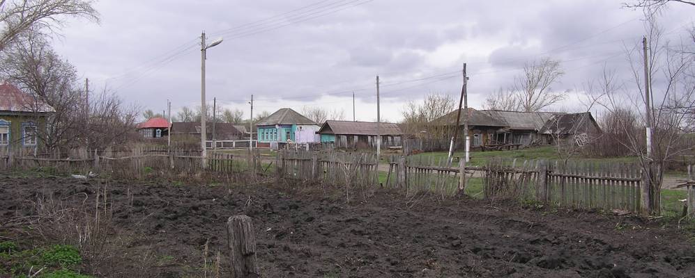 
            Фотография Шишовки