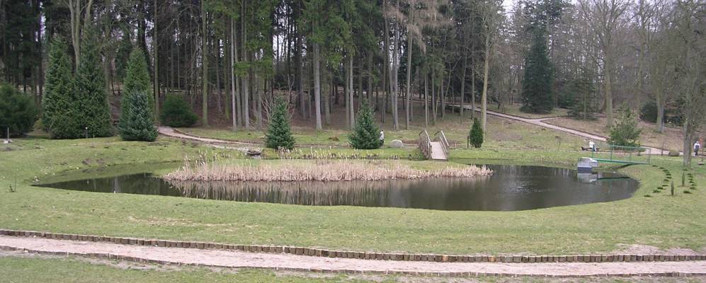 
            Фотография Стромца