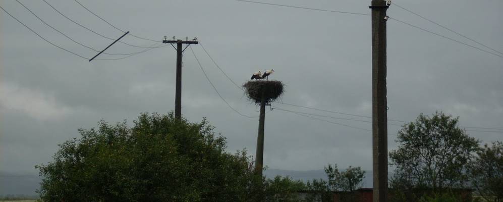 
            Фотография Конюхова