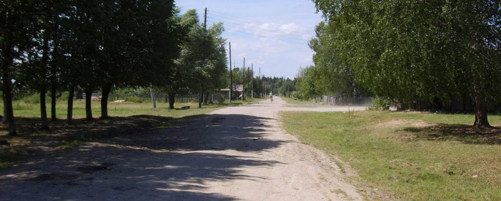 
            Фотография Курьи