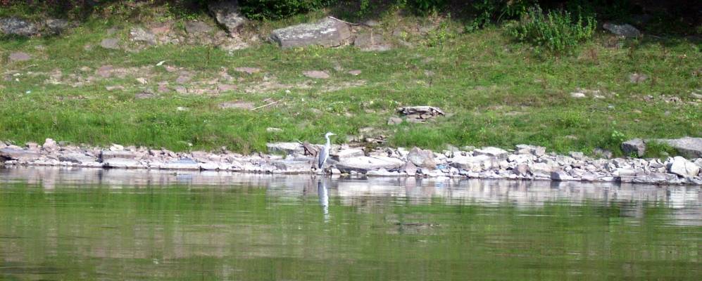 
            Фотография Корнева