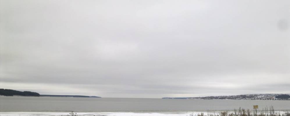 Фотография Тупицы