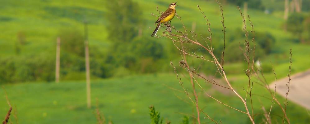 
            Фотография Знаменки