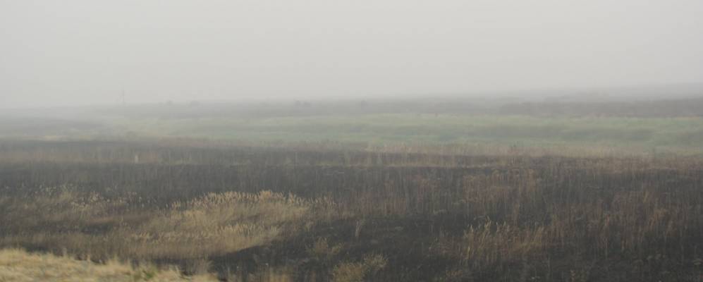 
            Фотография Огарево-Почково