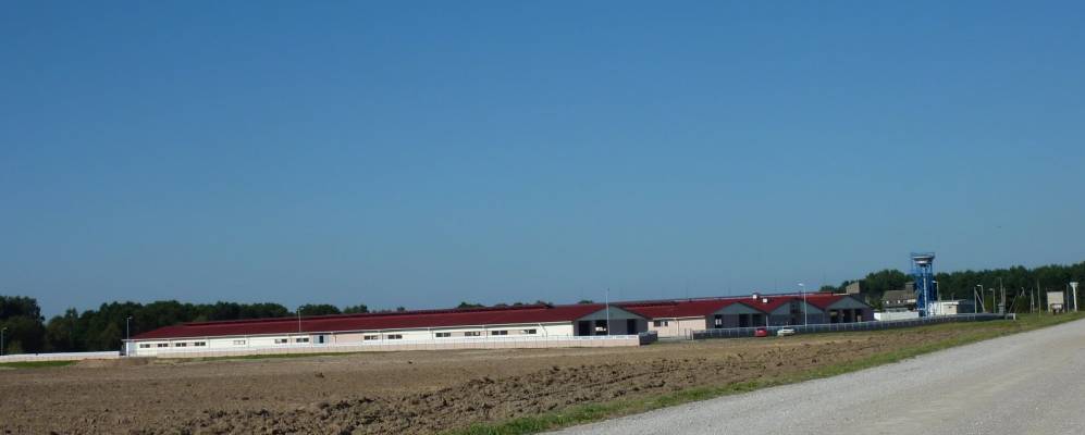 Фотография Осташи