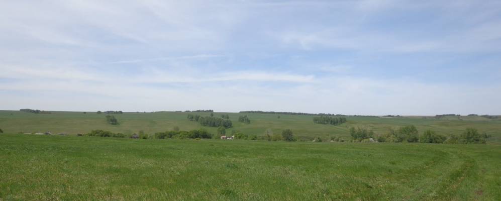 
            Фотография Прохоровки