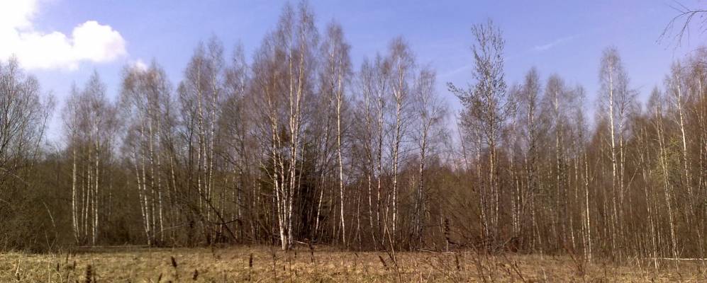 
            Фотография Михайловского