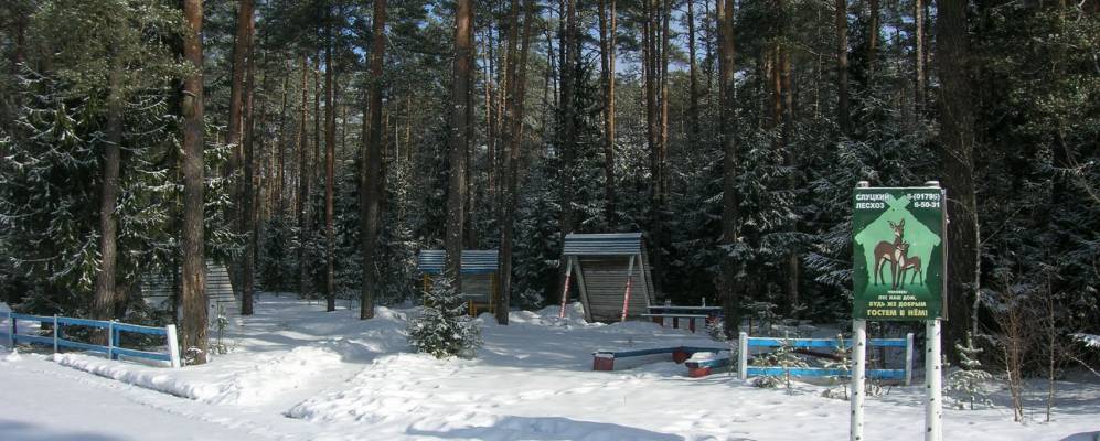 
            Фотография деревни Новинки