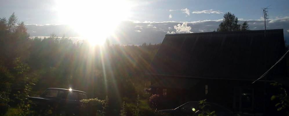 
            Фотография Растило