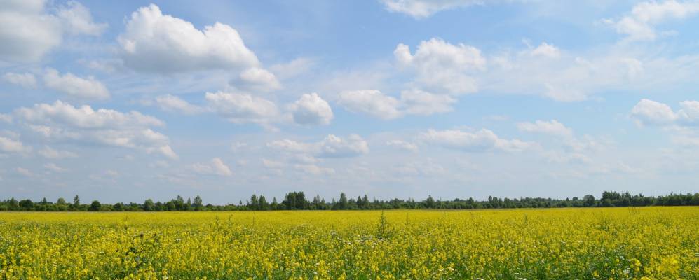 
            Фотография Мостков