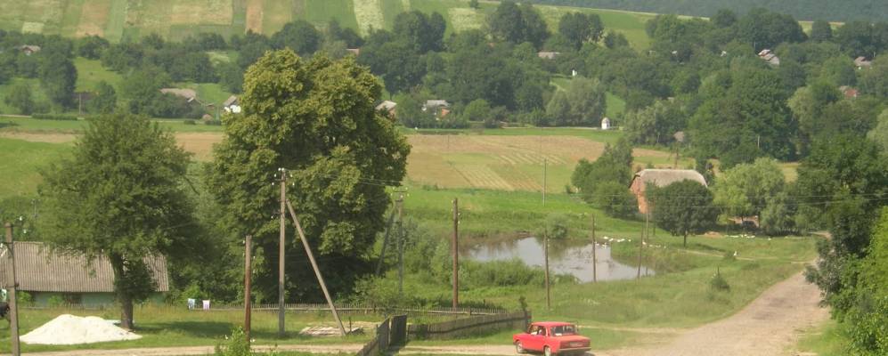 
            Фотография Берцев