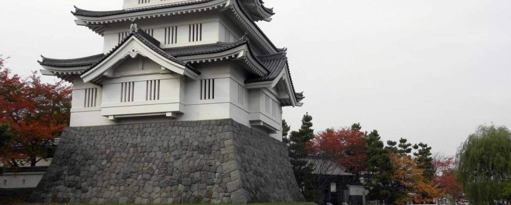 
            Фотография Гиоды