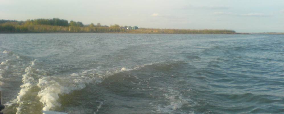 
            Фотография Кошкина