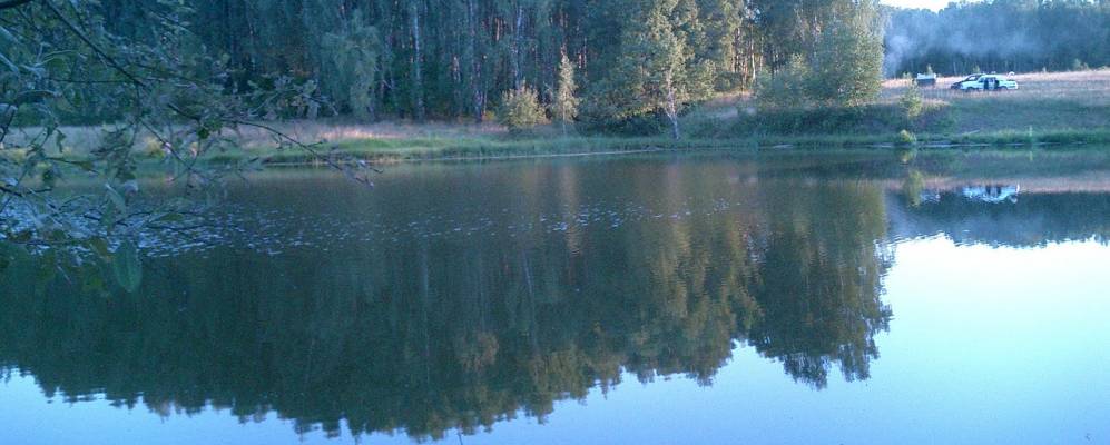 
            Фотография Железинки